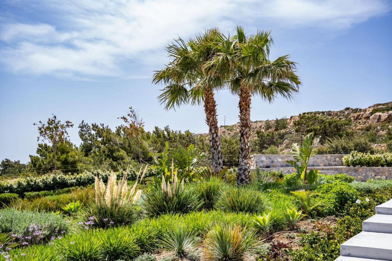Istia Luxury Villas Karpathos Town  Exterior photo